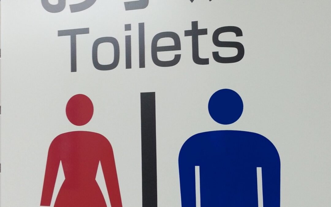 Japanese Toilets: From Squat Toilets to High-Tech Wonders