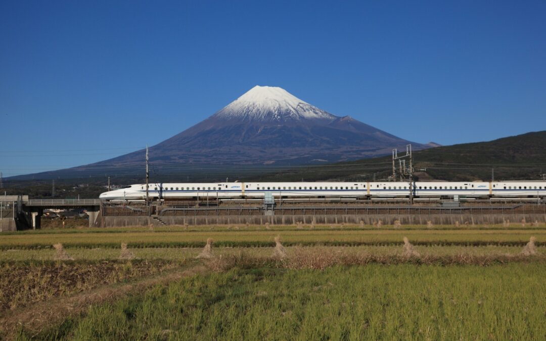 The Growing “Suitcase Problem” in Japan: When Tourism Meets Daily Life