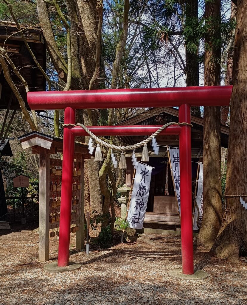 The red gate of shrine