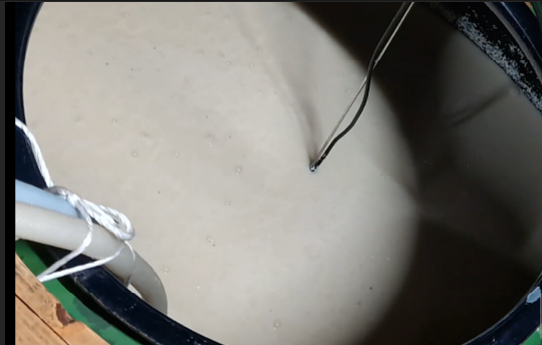 Fermentation precess in sake making