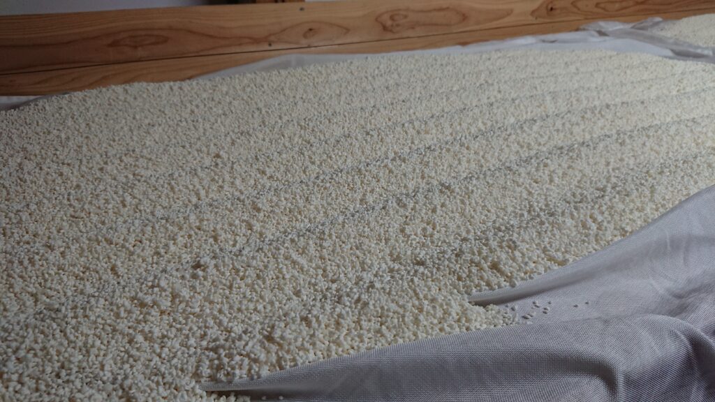 Koji